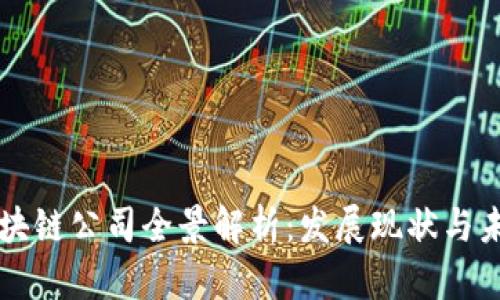 福州区块链公司全景解析:发展现状与未来展望