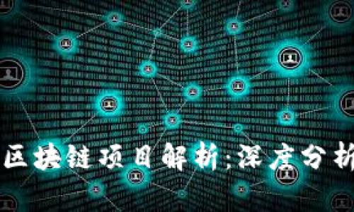 马云投资的区块链项目解析:深度分析与未来趋势