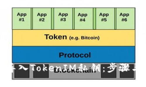 如何正确导入TokenIM私钥:步骤与注意事项