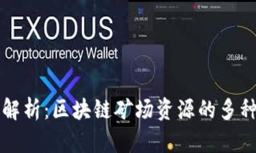 深入解析:区块链矿场资源的多种类型