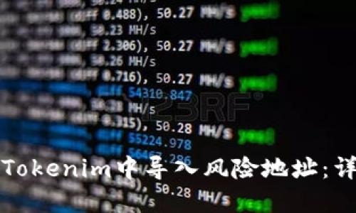 如何在Tokenim中导入风险地址:详细指南