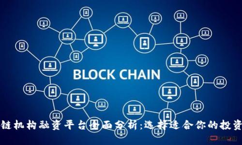 区块链机构融资平台全面分析:选择适合你的投资工具