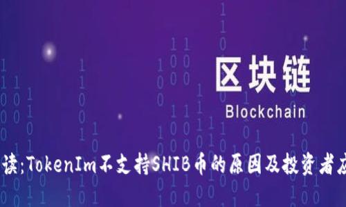 :平台解读:TokenIm不支持SHIB币的原因及投资者应对策略