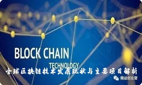 全球区块链技术发展现状与主要项目解析