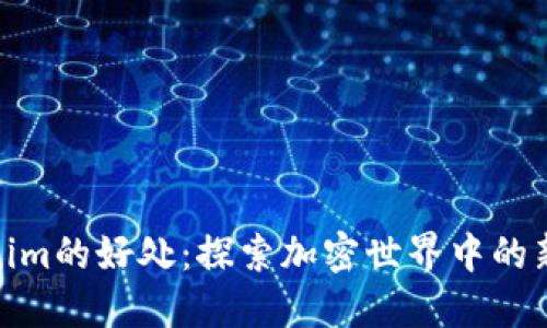 Tokenim的好处:探索加密世界中的新机遇