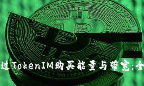 如何通过TokenIM购买能量与带宽:全面指南