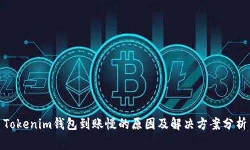 Tokenim钱包到账慢的原因及解决方案分析