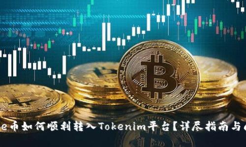 Doge币如何顺利转入Tokenim平台?详尽指南与问答