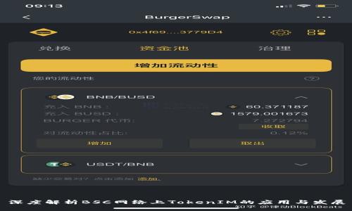 深度解析BSC网络上TokenIM的应用与发展