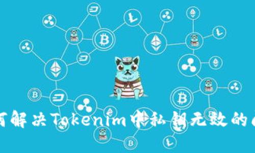 如何解决Tokenim中私钥无效的问题
