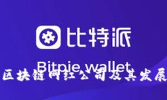 山东区块链网红公司及其