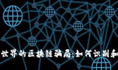 探索海洋世界的区块链骗