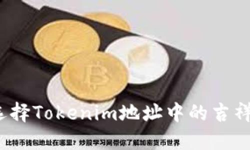 如何选择Tokenim地址中的吉祥数字?