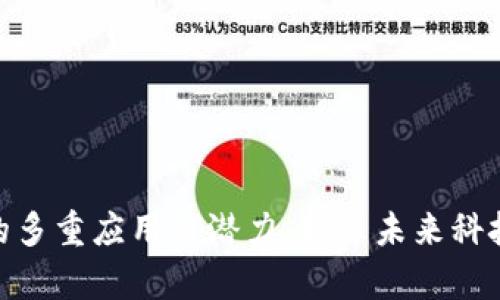 : 区块链的多重应用与潜力:揭示未来科技的一扇窗