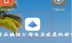 奉贤区块链公司及其发展