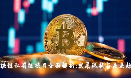 区块链私有链项目全面解析:发展现状与未来趋势