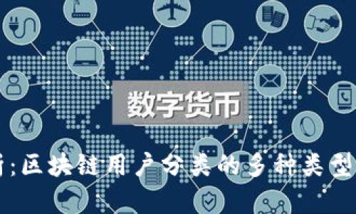 深度解析:区块链用户分类的多种类型及其特点