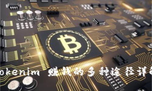 Tokenim 赚钱的多种途径详解