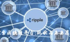 探索区块链平台：现状与