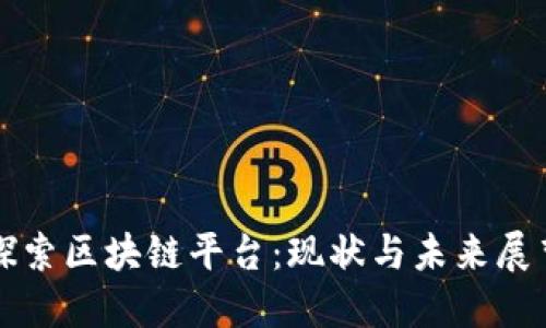 探索区块链平台:现状与未来展望
