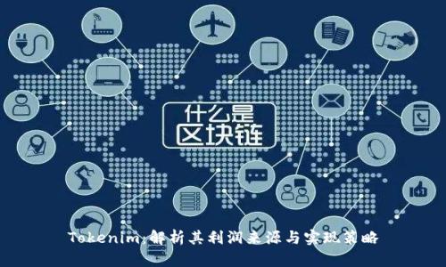Tokenim:解析其利润来源与实现策略