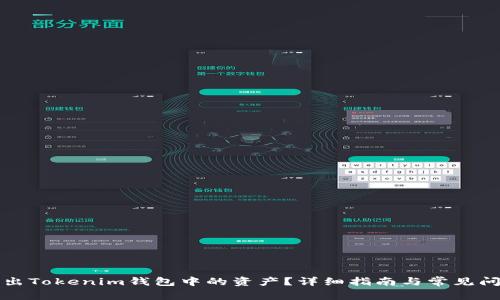 如何导出Tokenim钱包中的资产?详细指南与常见问题解答