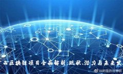 广西区块链项目全面解析