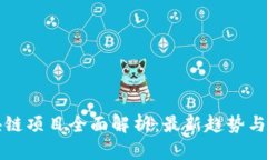 前端区块链项目全面解析