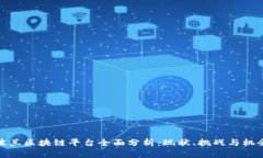 波兰区块链平台全面分析