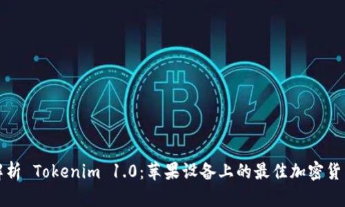 全面解析 Tokenim 1.0：苹果设备上的最佳加密货币钱包