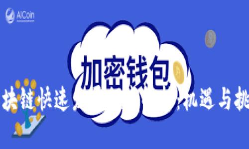 区块链快速发展领域解析:机遇与挑战