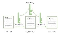 : 全面解析YEE币及其Token