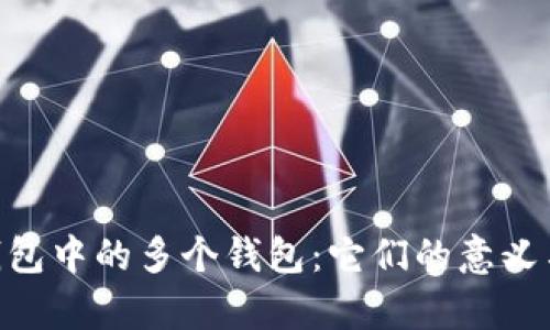 Tokenim钱包中的多个钱包:它们的意义与功能分析