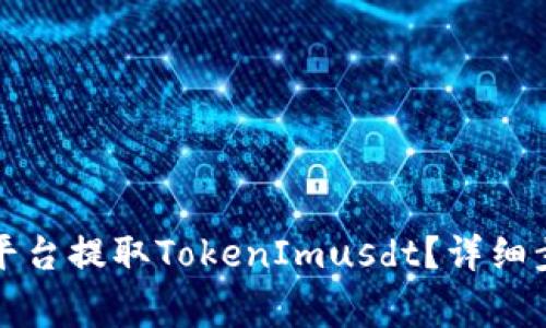 如何在比特儿平台提取TokenImusdt?详细步骤与注意事项