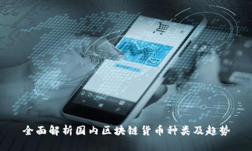 全面解析国内区块链货币种类及趋势