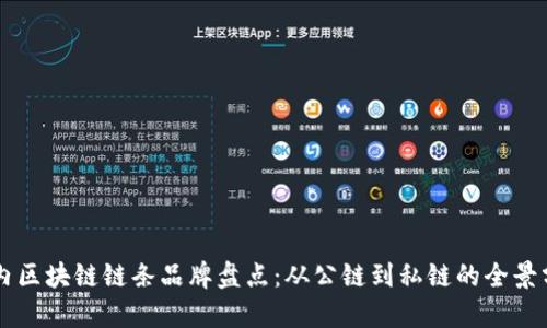 国内区块链链条品牌盘点:从公链到私链的全景分析
