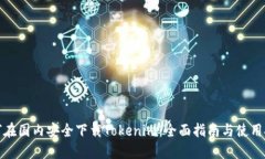 如何在国内安全下载Toke