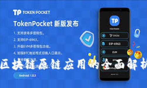 区块链原链应用的全面解析