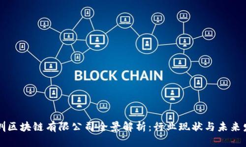 深圳区块链有限公司全景解析:行业现状与未来发展