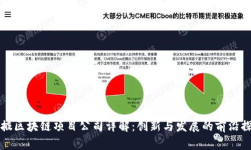 张掖区块链项目公司详解:创新与发展的前沿探索