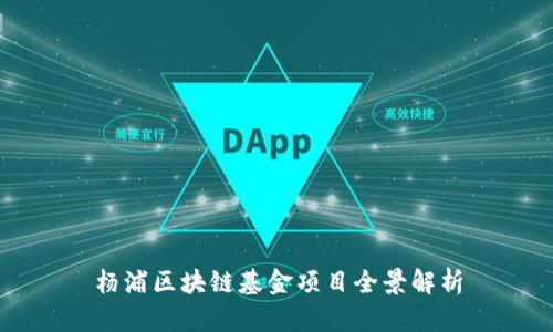 杨浦区块链基金项目全景解析