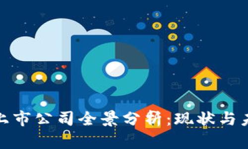 数字区块链上市公司全景分析:现状与未来发展趋势