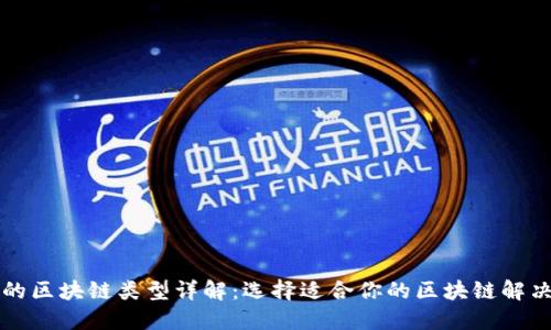 可靠的区块链类型详解:选择适合你的区块链解决方案