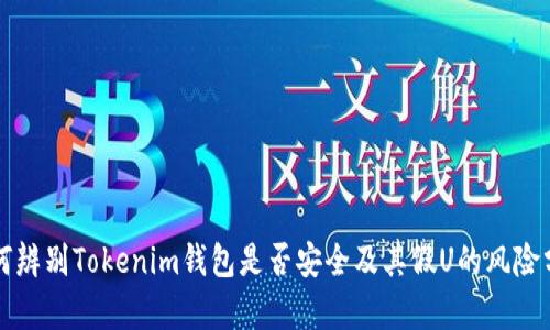 如何辨别Tokenim钱包是否安全及其假U的风险分析