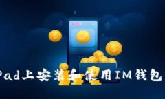  如何在iPad上安装和使用