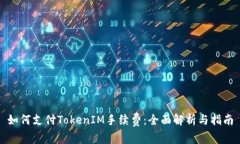 如何支付TokenIM手续费：全