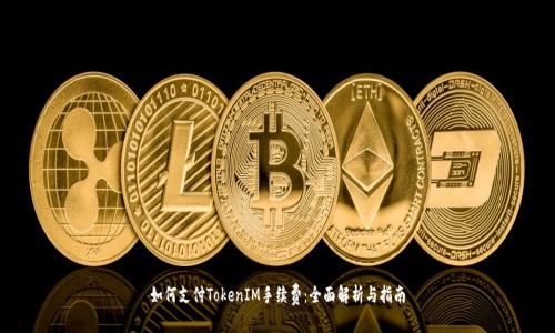 如何支付TokenIM手续费:全面解析与指南