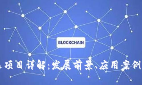 区块链机选项目详解:发展前景、应用案例与市场分析