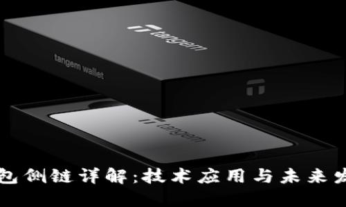 : IM钱包侧链详解:技术应用与未来发展趋势