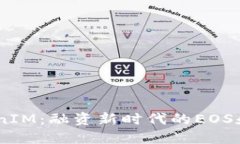 探索TokenIM：融资新时代的